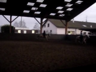 Plus qu'un sport ; c'est une passion sans fin ! L'équitation ♥.