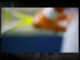 Live Stream Philipp Petzschner vs. Pere Riba Australia ...
