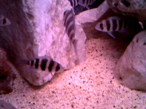 VID 00015-20120115-0040