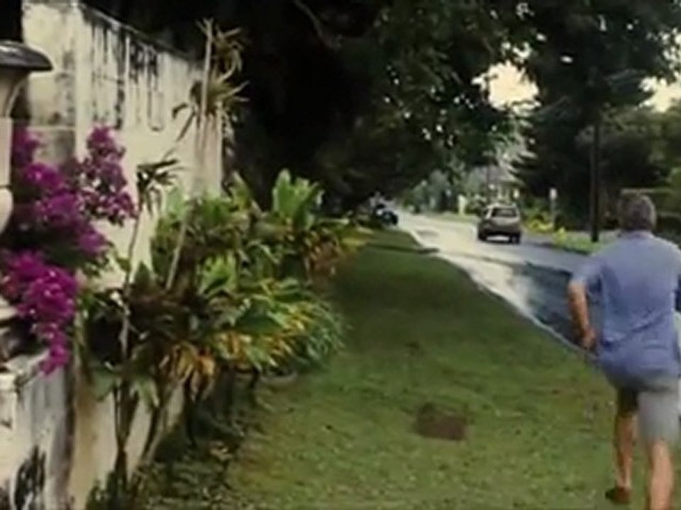 The Descendants Trailer