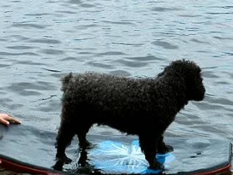 août 2006 vacances famille 228