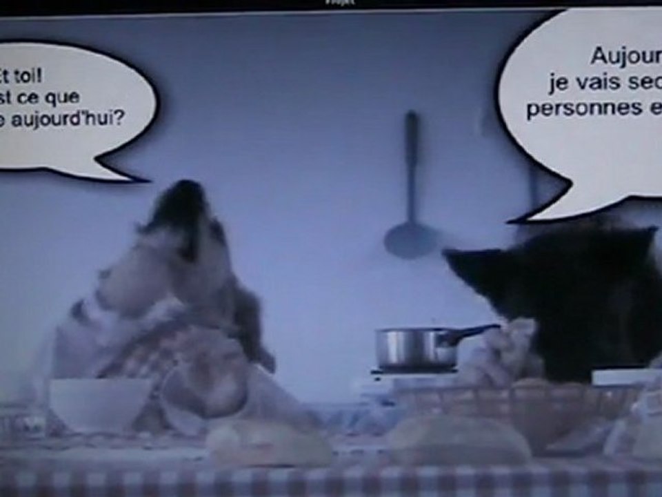 Les chiens ont la parole