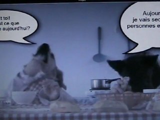 Les chiens ont la parole