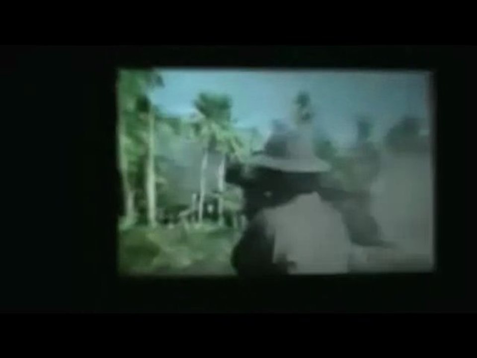 Soirée Nanar Party Vol.2 - Genève 2011