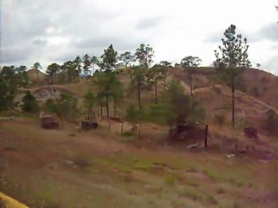 Video (9)