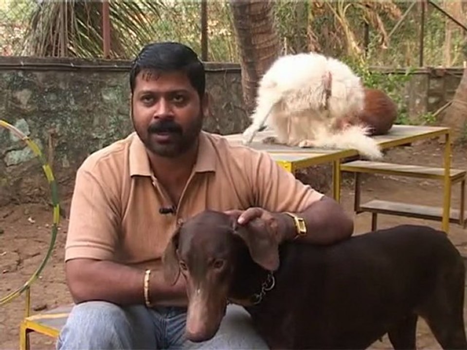 doberman ep 1.2