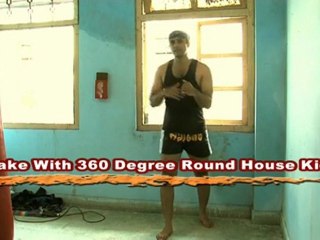 Deadly Art -- 360 Round house Kick