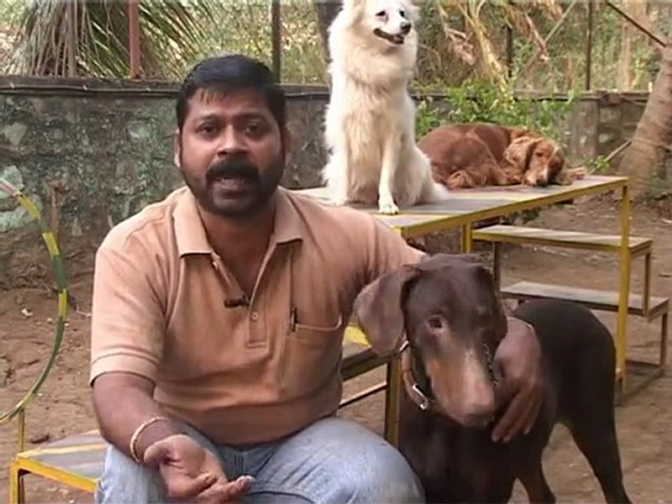 doberman ep 1.3