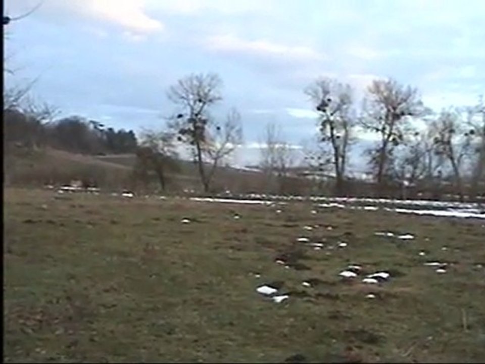 alın götürün beni eflaninin geceleri