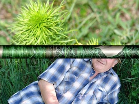 C днем рожденья друг!