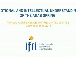 Emotional and intellectual understanding of the Arab spring