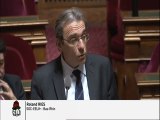 Roland Ries au Sénat - Quid de l’articulation entre le procès-verbal électronique et la décentralisation du stationnement ?