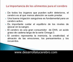 alimentos para el cerebro