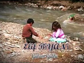 Elif Biyani - Gulam Gulbu Yeni - www.elifbiyani.com