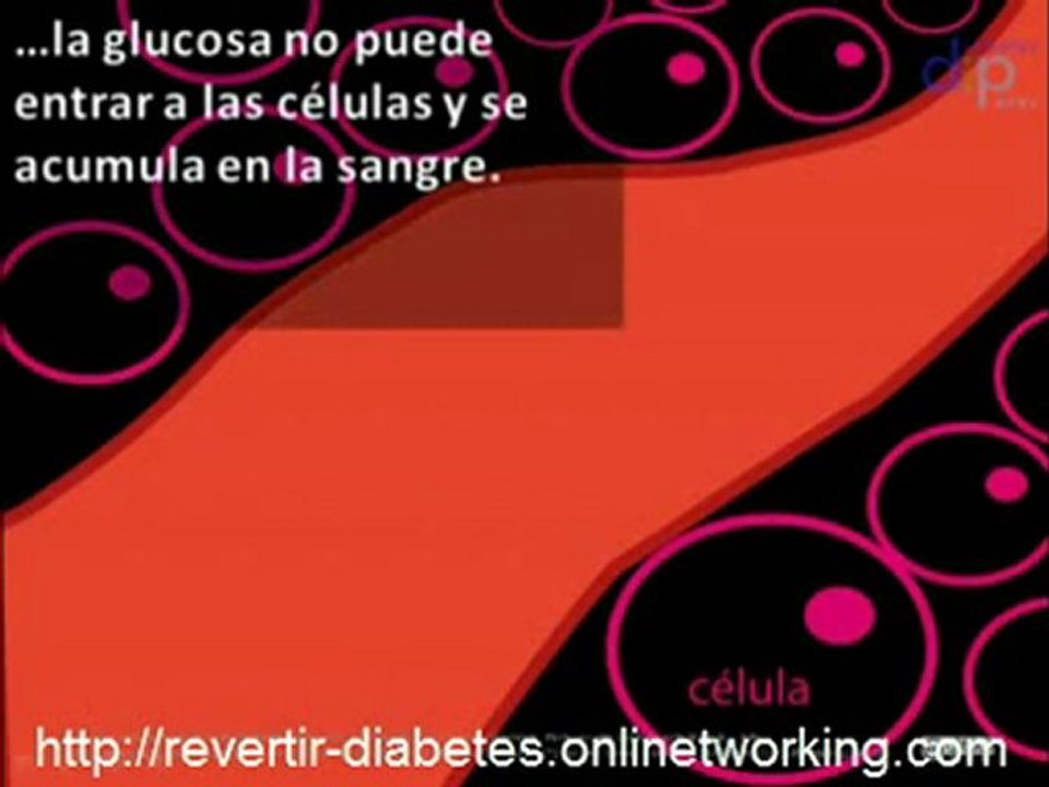 ¿ QUÉ ES LA DIABETES ? , Revertir La Diabetes Con Sergio Russo