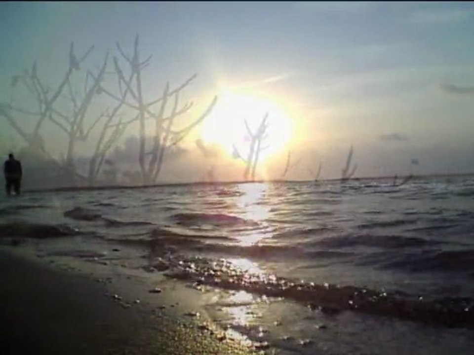 The tramps - robinson quinta da ria, portugal