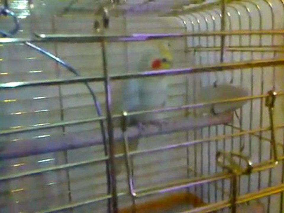 VID 00026-20120118-2147