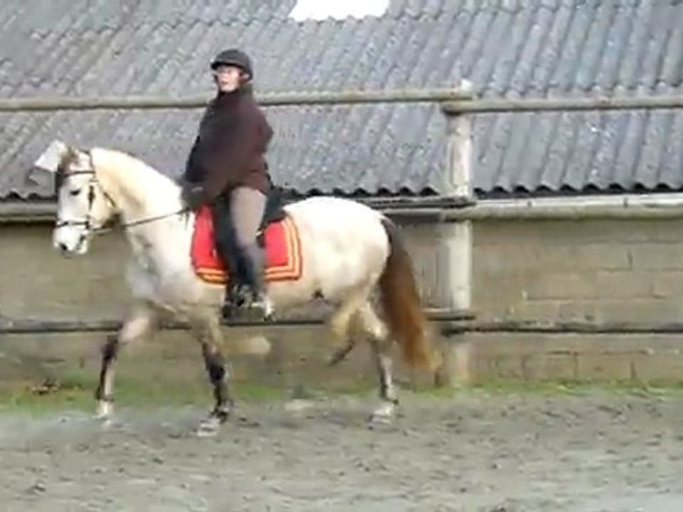 Ceniza et Marie 8