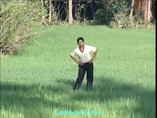 Yoga Stress Busters Kati Jattis