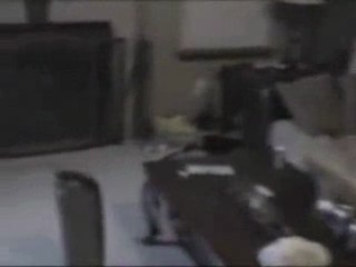 RAW POLICE SHOOTING POLICE RAID HORRORS AMERICA THIS IS WHAT WE HAVE BECOME