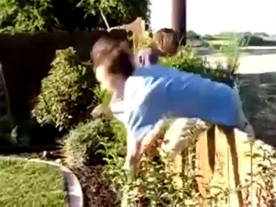 2010 Yılının En Komik Videoları