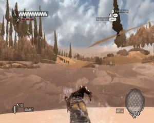 bug-assassin's-creed-brotherhood