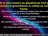 Greenhouse is a place where plants are grown.