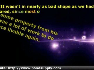 The Right Water Garden Supplies