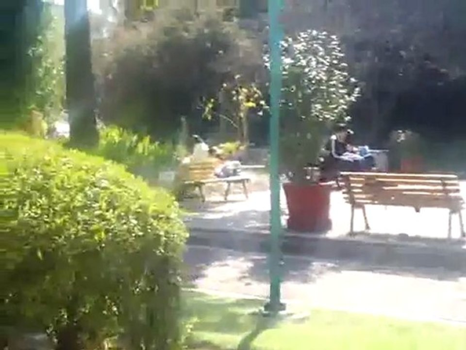 Meksika UNAM Üniversitesi 17 ( Cepe 2)