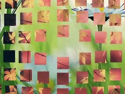 TOLGA SAĞ&ERDAL ERZİNCAN-ERİSİN DAĞLARIN KARI