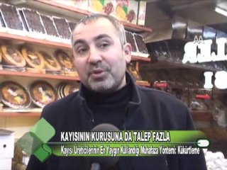 KAYISININ KURUSUNA DA TALEP FAZLA 16.01.2012