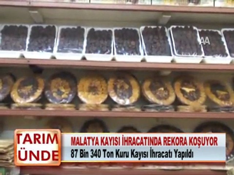 MALATYA KAYISI İHRACATINDA REKORA KOŞUYOR 17.01.2012