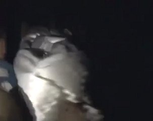 فري برس   حمص كرم الزيتون  تشييع الشهداء 4 12 2011