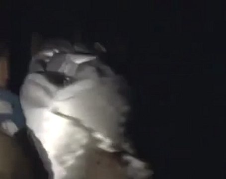 فري برس حمص كرم الزيتون تشييع الشهداء 4 12 2011