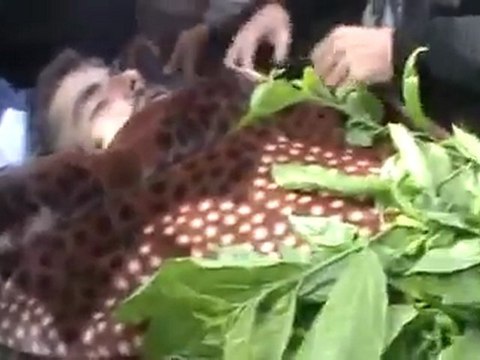 فري برس حمص تلبيسة الشهيد الناشط محمد خالد الوحش وتشييعه 5 12 2011