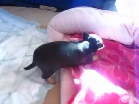 Bébés de Fiona LOF !