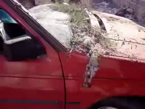 فري برس إطلاق الأمن الرصاص على السيارات المدنية بشكل عشوائي 6 12 2011