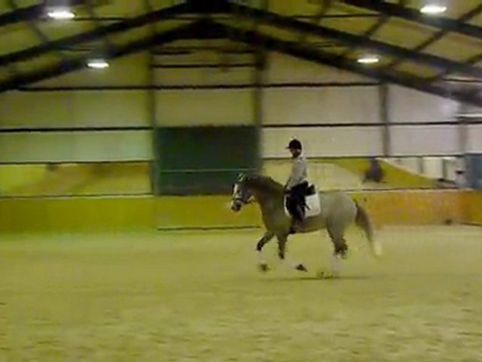 Baelo II - 17de les - 16-01-12