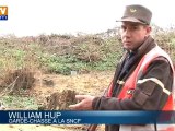 Animaux accidentés sur les voies : la SNCF recrute des gardes-chasse