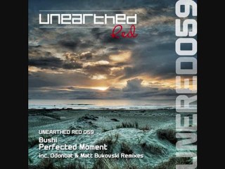 Bushi - Perfected Moment