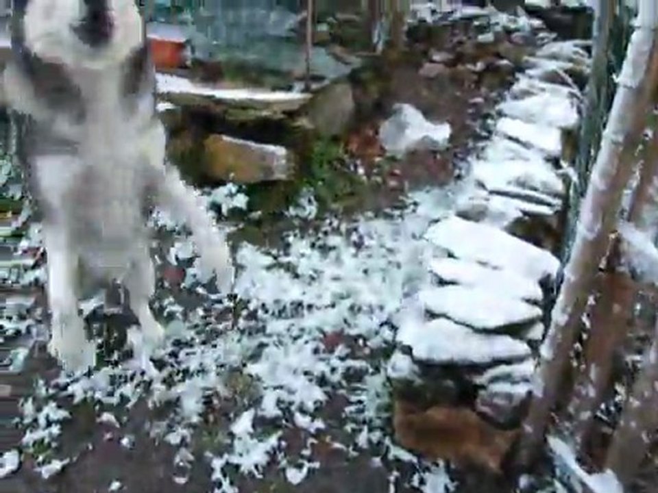 la neige est arriver
