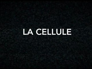 La cellule : les coulisses de la "TVA sociale"