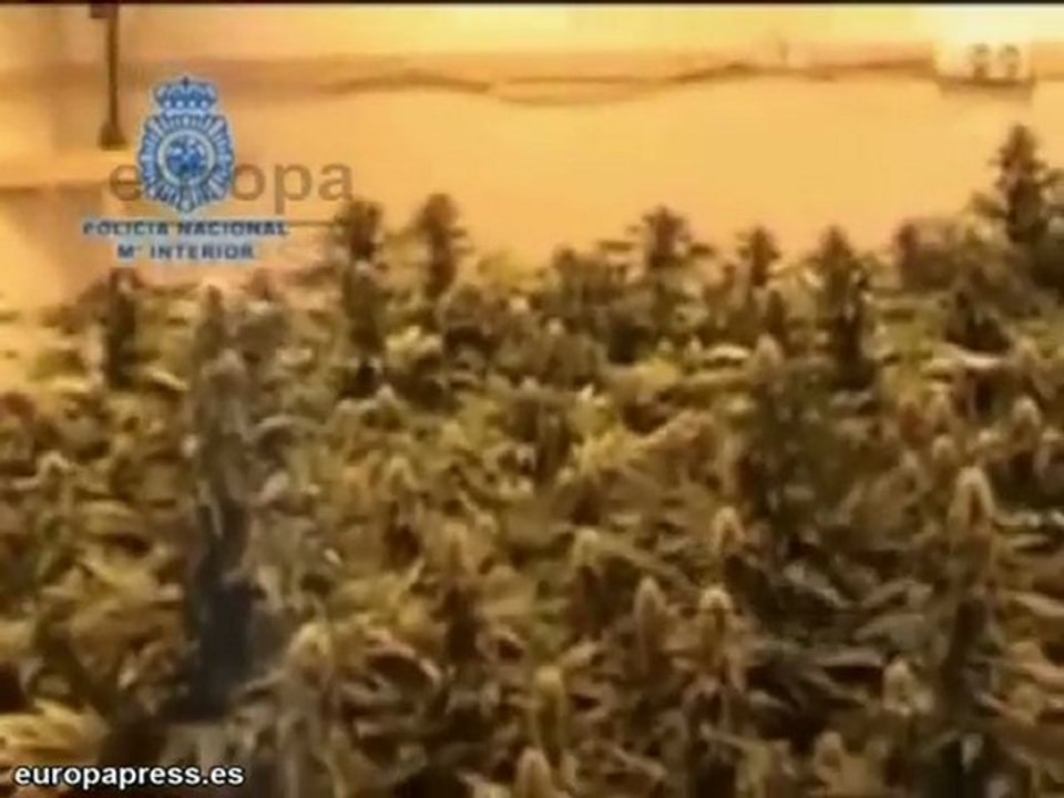 Detienen a doce narcos con cinco kilos de speed
