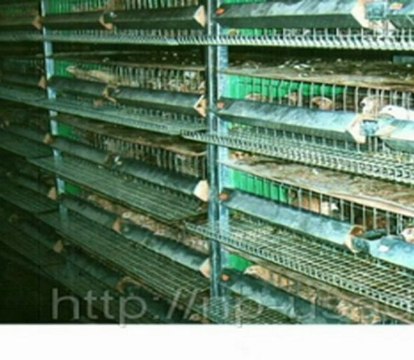 Мини-АгроКомплекс.