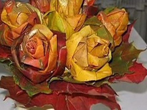 Güz Gülleri*Hakan Taşıyan*