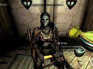 The Elder Scrolls V: Skyrim - Guide to equipping your companion