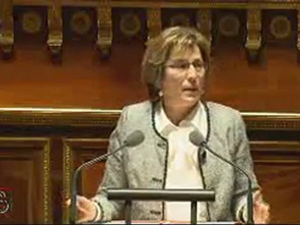 MN-Lienemann débat sur les négociations internationales climatiques 17 janvier 2012