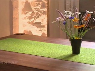 Montagne TV - Voeux 2012 - Clip Art de vivre