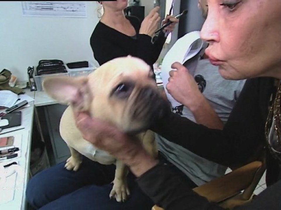 30 Millions d'Amis s'invite dans "Plus Belle la Vie" !