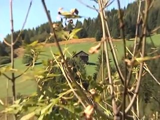 elezioni 2012 scende in campo il terzo polo